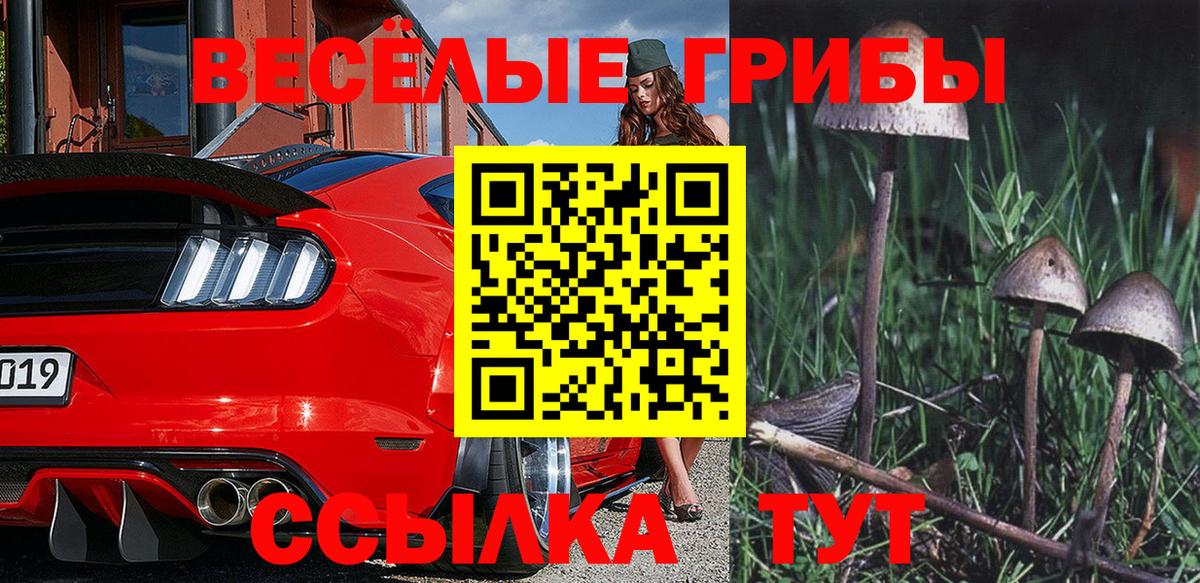 Псилоцибиновые грибы мицелий Красноперекопск